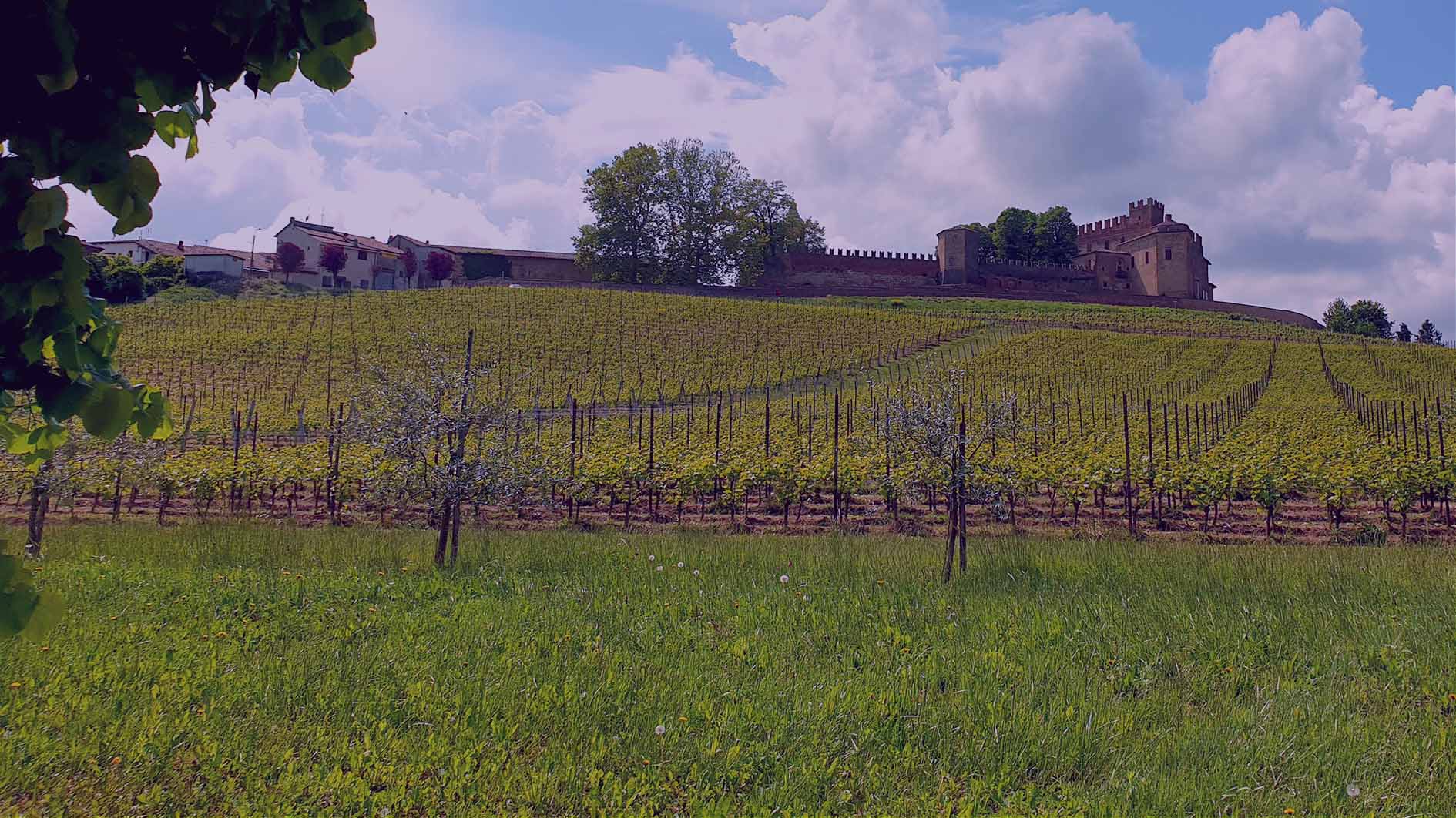 MONCALVO E MONTEMAGNO